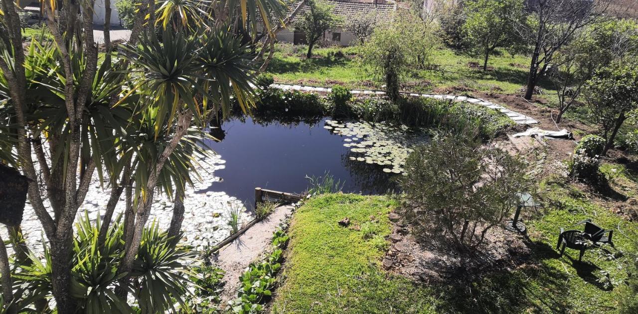 Quinta Do Soldado Villa Albergaria-a-Velha Luaran gambar