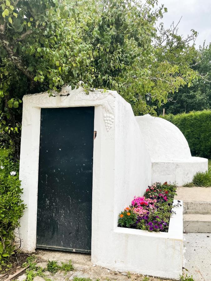Quinta Do Soldado Villa Albergaria-a-Velha Luaran gambar