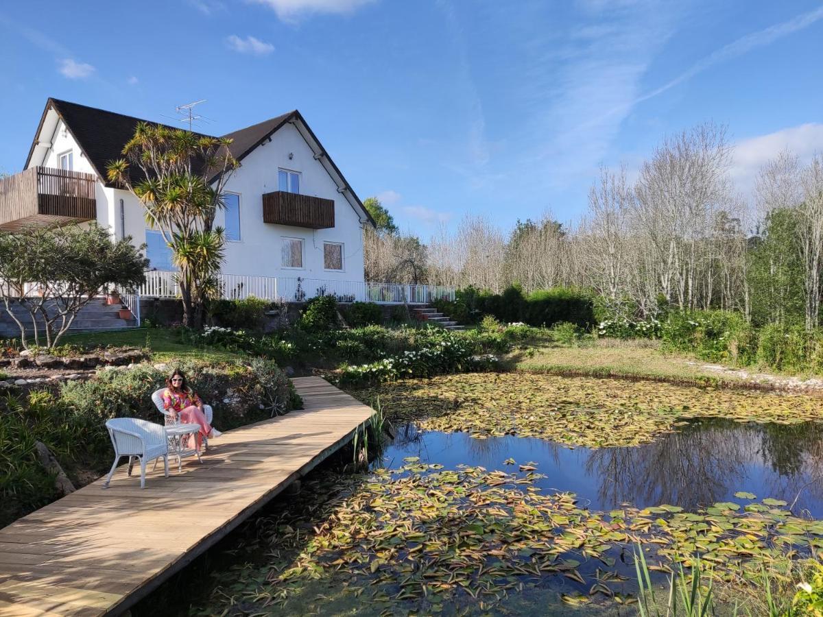 Quinta Do Soldado Villa Albergaria-a-Velha Luaran gambar