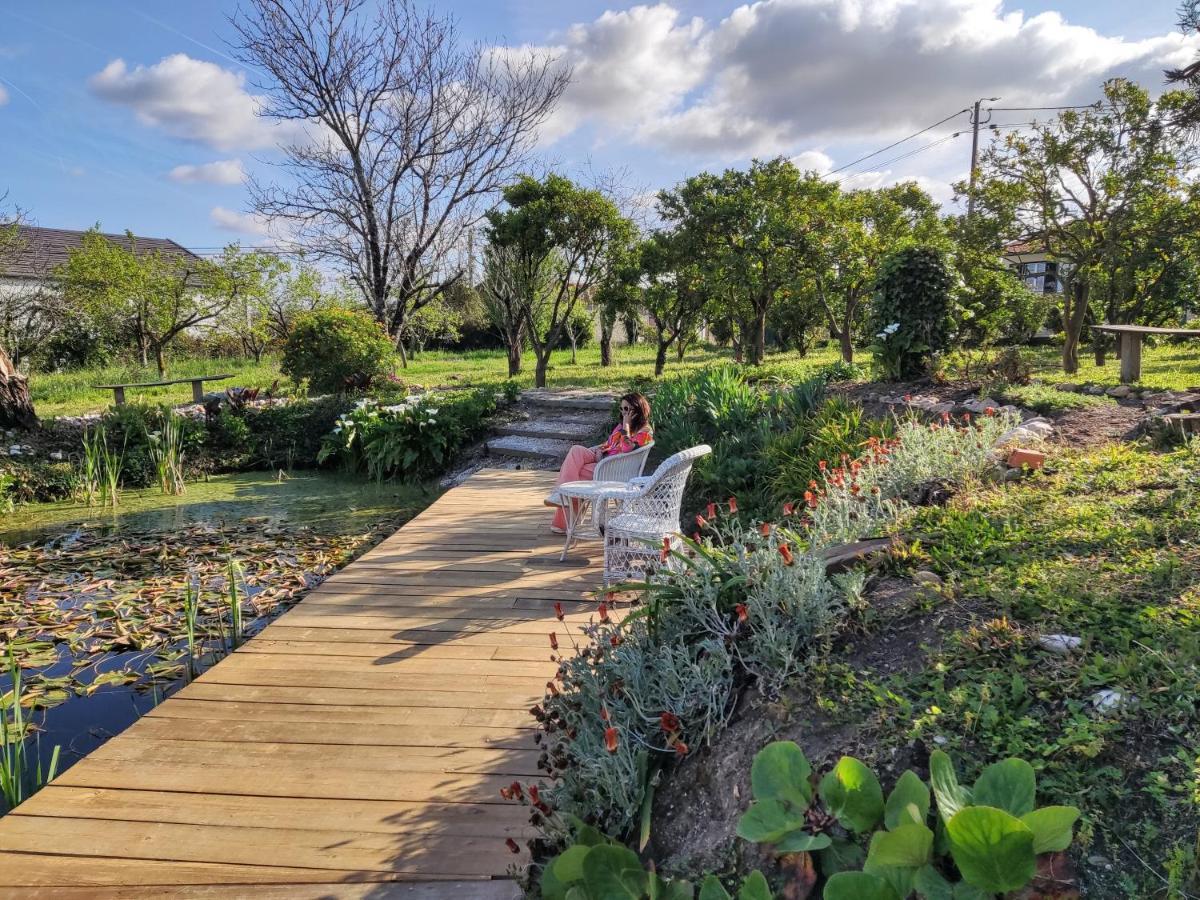 Quinta Do Soldado Villa Albergaria-a-Velha Luaran gambar